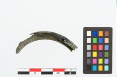 Foto von Bronzehohlblechring (NHMW-PRAE-026632)